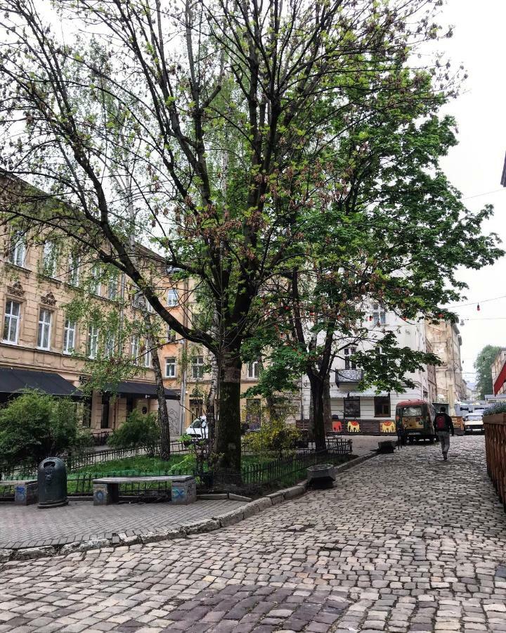 Vip Apartment Ploscha Rynok Lviv Exterior photo